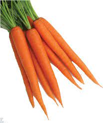 Fresh Carrot