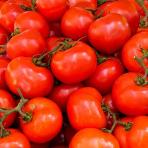 Indian Tomato
