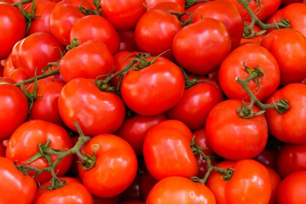 Indian Tomato