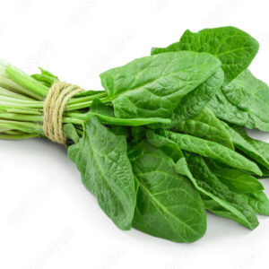 Spinach (Palakura)