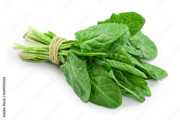 Spinach (Palakura)